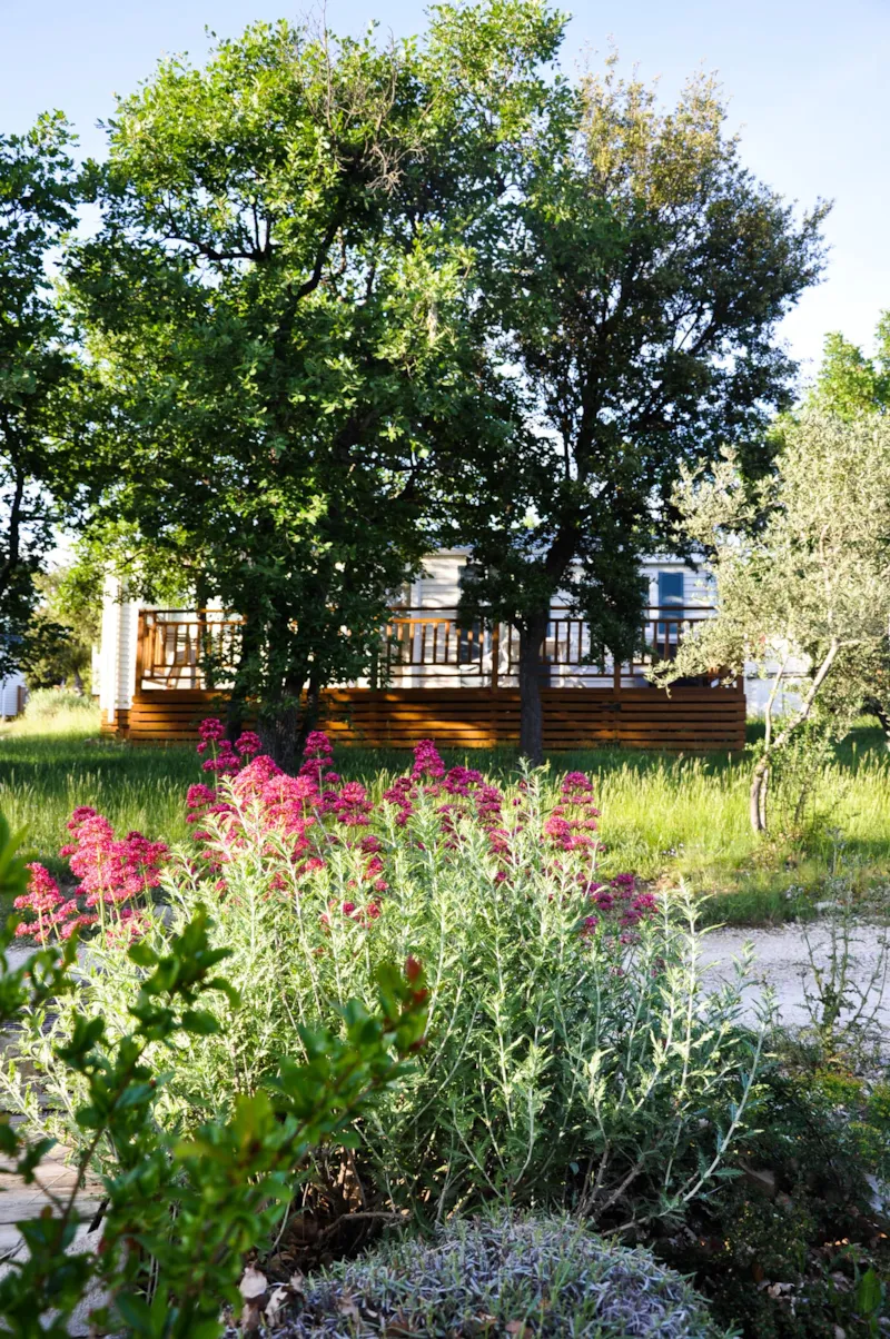 Cottage "Laurier" - 3 Chambres - Gamme Confort