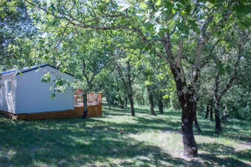 Mietunterkunft - Cottage "Cade" - 2 Schlafzimmer - Premium Plus Reihe - image n°3 - Camping L'Ombrage