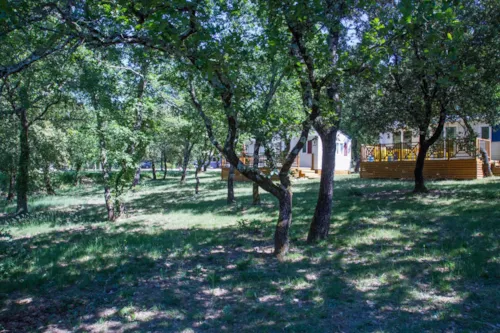Mietunterkunft - Cottage "Cade" - 2 Schlafzimmer - Premium Plus Reihe - image n°4 - Camping L'Ombrage