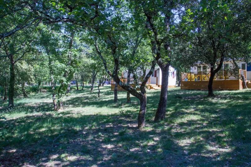 Cottage "Cade" - 2 Chambres - Gamme Premium Plus