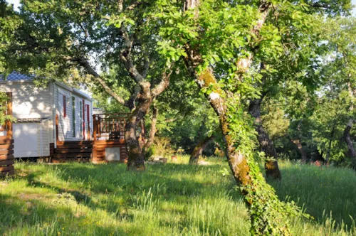 Mietunterkunft - Cottage "Cade" - 2 Schlafzimmer - Premium Plus Reihe - image n°5 - Camping L'Ombrage