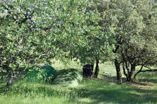 Pitch - Nature Pitch (Without Electricity) - image n°5 - Camping L'Ombrage