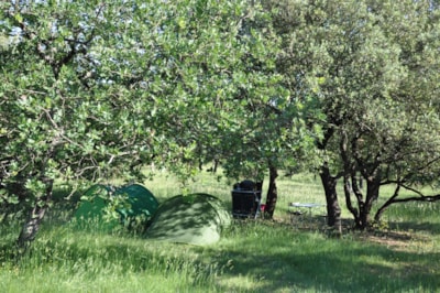 Nature pitch (without electricity)