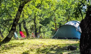 Emplacement - Stellplatz Natur (ohne Strom) - Camping L'Ombrage