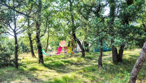 Pitch - Nature Pitch (Without Electricity) - image n°3 - Camping L'Ombrage