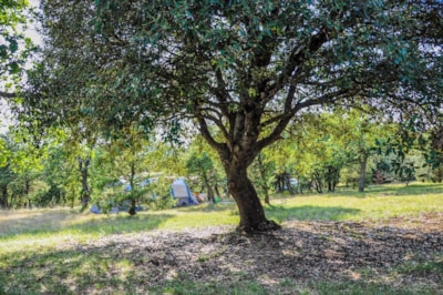 Nature pitch (without electricity)
