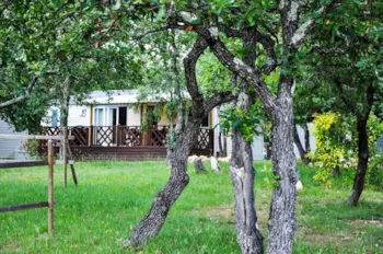 Huuraccommodatie(s) - Cottage Prestige Airco -- 3 Bedrooms - Camping L'Ombrage