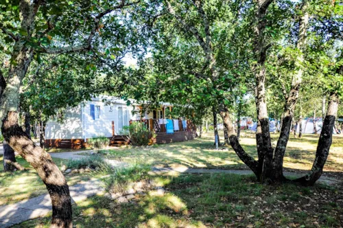 Huuraccommodatie(s) - Cottage “Chêne” - 3 Slaapkamers - Serie Prestige - image n°2 - Camping L'Ombrage