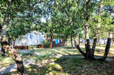 Cottage “CHÊNE” - 3 bedrooms - PRESTIGE range