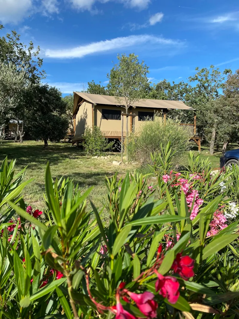 Lodge Safari "Mûrier" - 2 Chambres - Sanitaires Privatifs