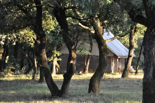 Mietunterkunft - Kanadische Hütte "Garrigue" - 2 Schlafzimmer - Ohne Sanitäranlagen - image n°3 - Camping L'Ombrage