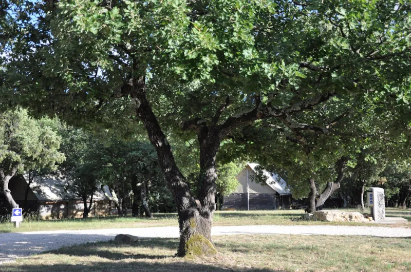 Cabane Canadienne "Garrigue" - 2 Chambres - Sans Sanitaires