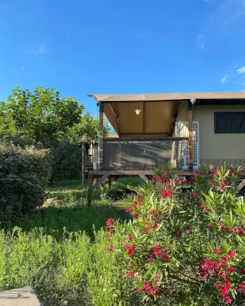 Mietunterkunft - Lodge Safari  "Mûrier" - 2 Bedrooms - Private Sanitary - Camping L'Ombrage