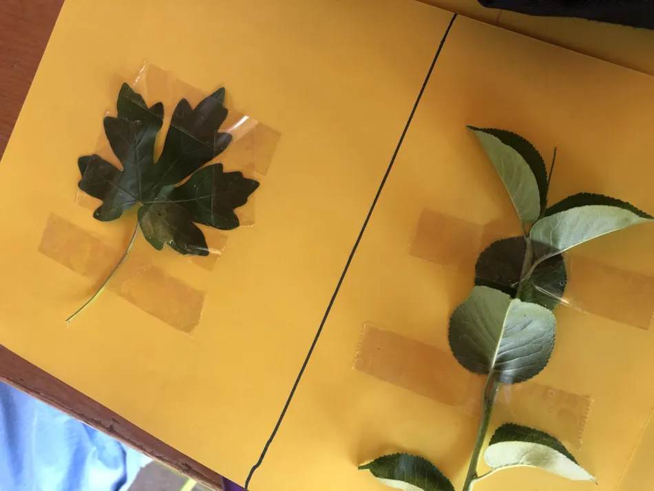 Camping du Lac de Saint Cyr