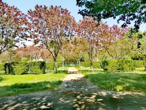 Camping De L'Ardèche *** Camping De L'Ardèche ***