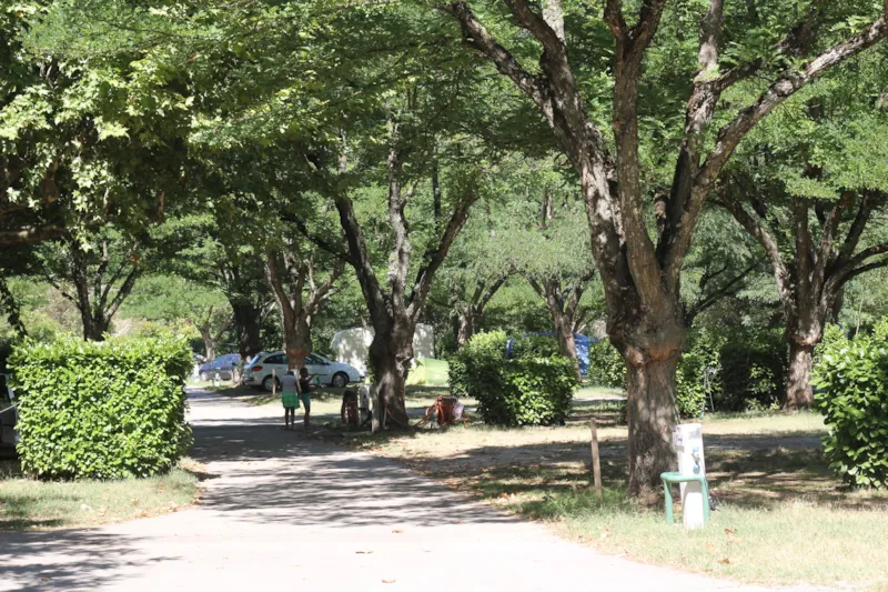 Emplacement Camping ( Tente Ou Caravane + Véhicule )