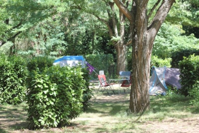 Camping pitch ( Tent or Caravan + vehicle ) — 8