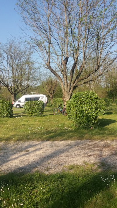 Pitch Camper — 5