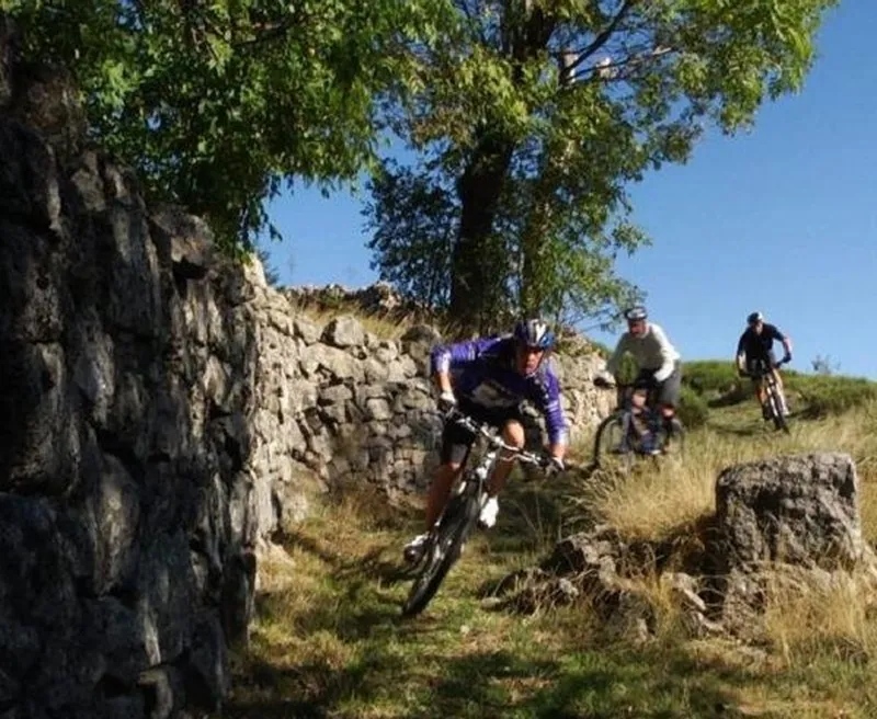 Camping de l'Ardèche ***
