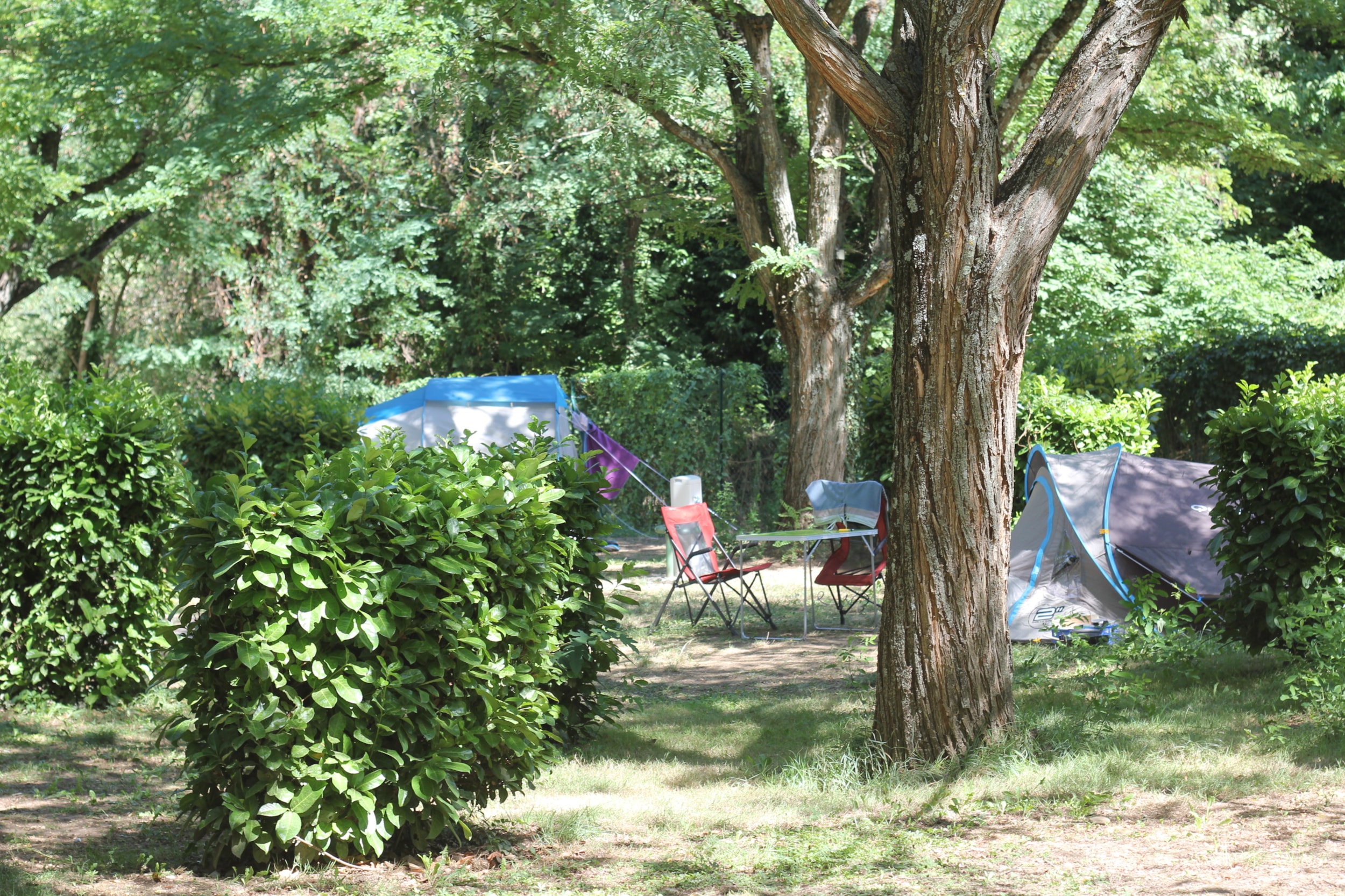 Camping de l'Ardèche *** — Photo 3