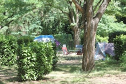 Camping de l'Ardèche *** - image n°3 - 