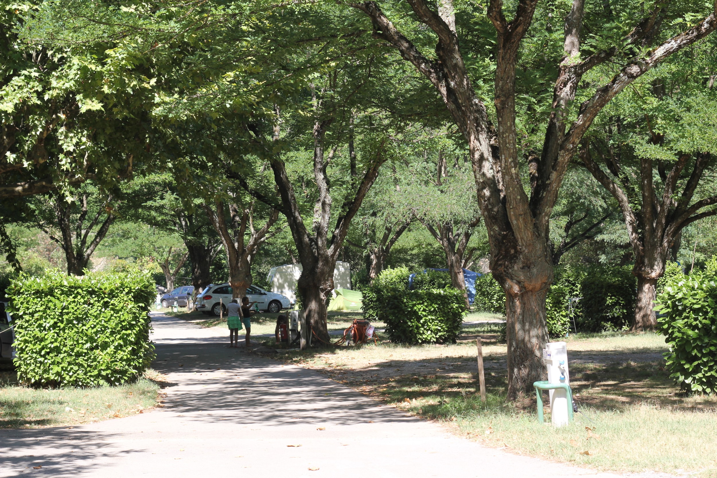 Camping de l'Ardèche *** — Photo 9