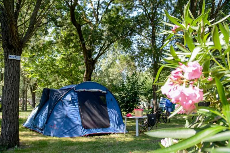 Emplacement - Emplacement De Camping - Camping Paradis Parc Bellevue