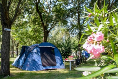 Pitch (1 tent, caravan or camper) with electricity — 1