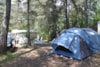 Camping Qualité