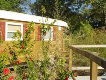 Mietunterkunft - Roulotte 20M² - Capfun - Domaine La Paillotte