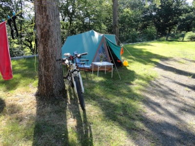 Nature package without electricity (1 tent, caravan / 1 car )