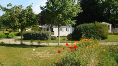 Mobile home - 2 Bedrooms -Terrace - 25m² — 9