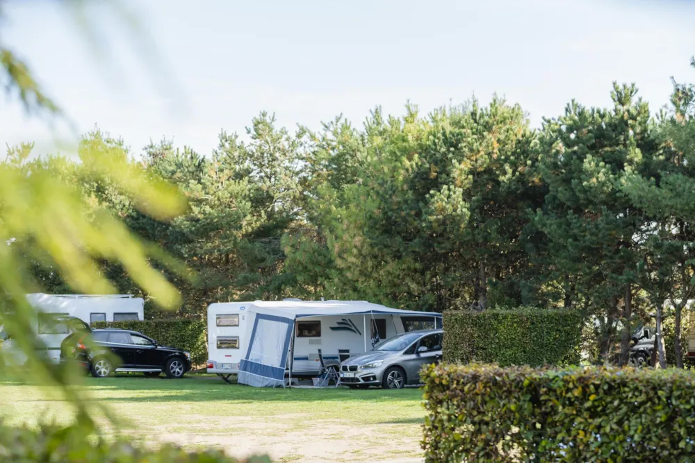 Stellplatz (Max 2 Erwachsener Und 4 Kinder)