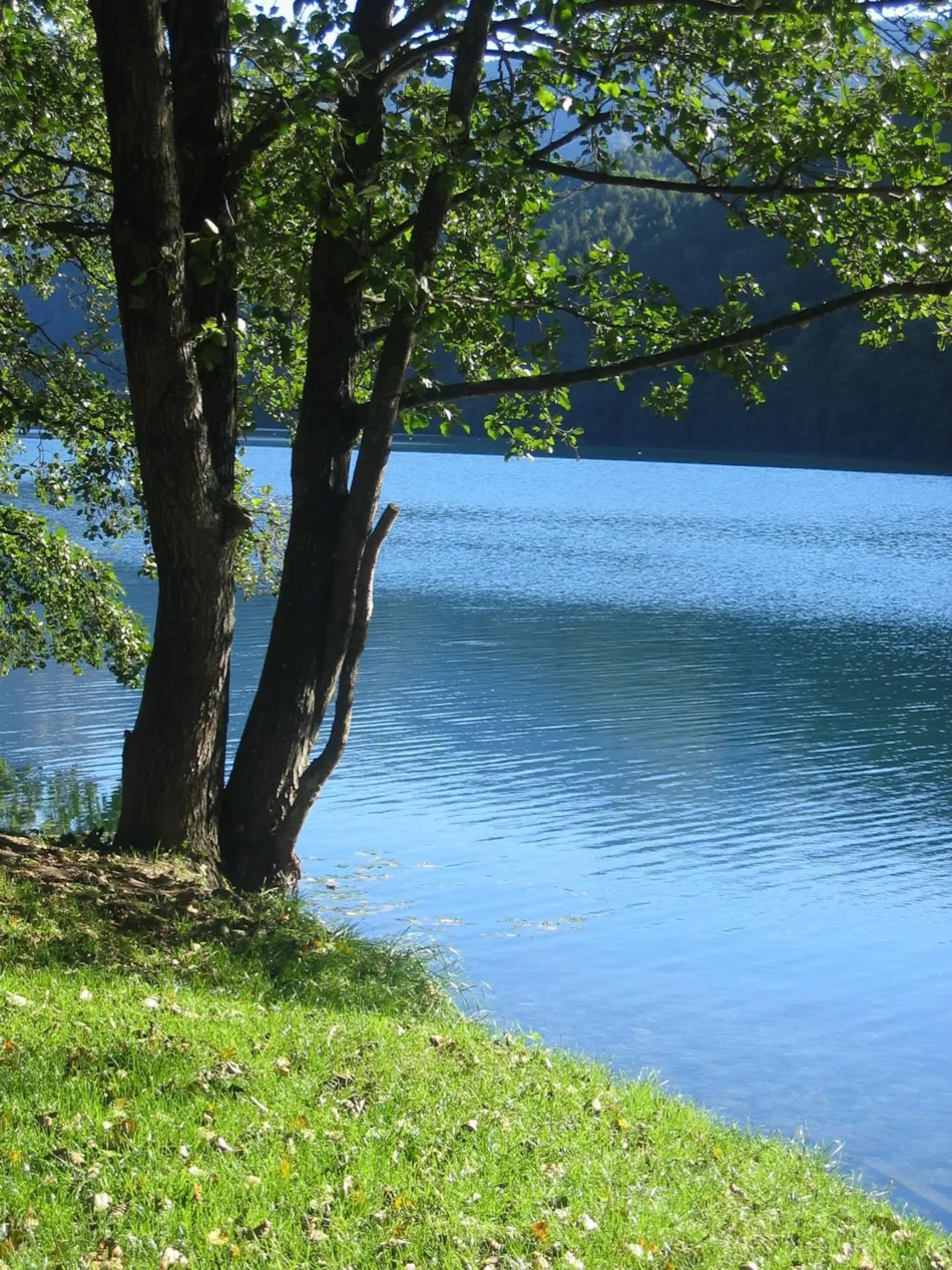 Club del Sole Due Laghi Levico Family Collection