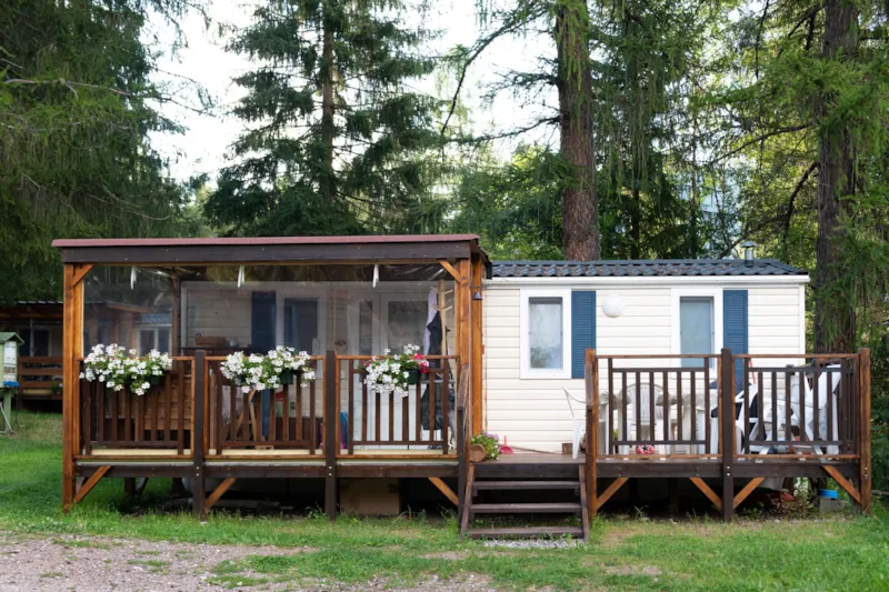 Lodge Standard Animaux Autorisés