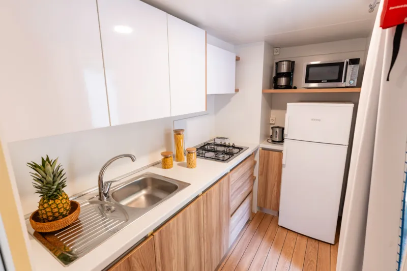 Lodge Standard Family