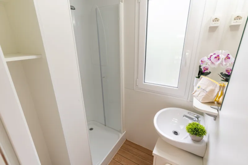 Lodge Standard Family