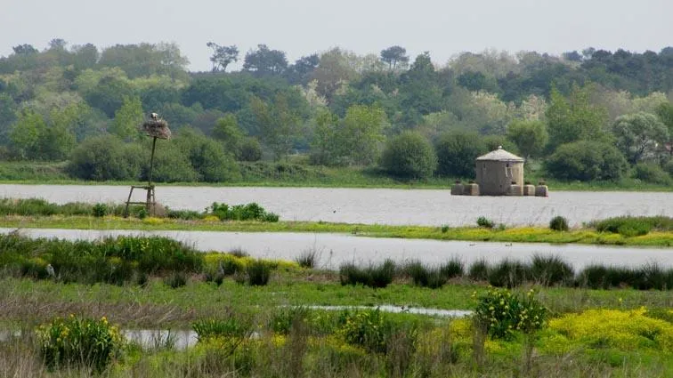 Capfun - Camping Sud Land