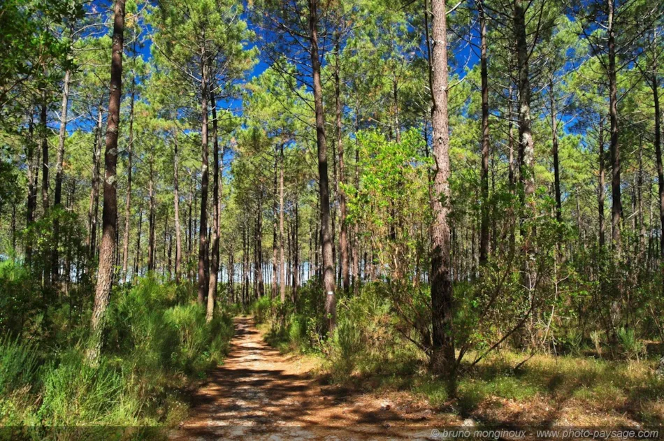 Capfun - Camping Sud Land