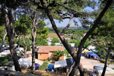 Package: Pitch For tent or caravan or Camper