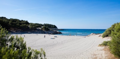 Le Pascalounet