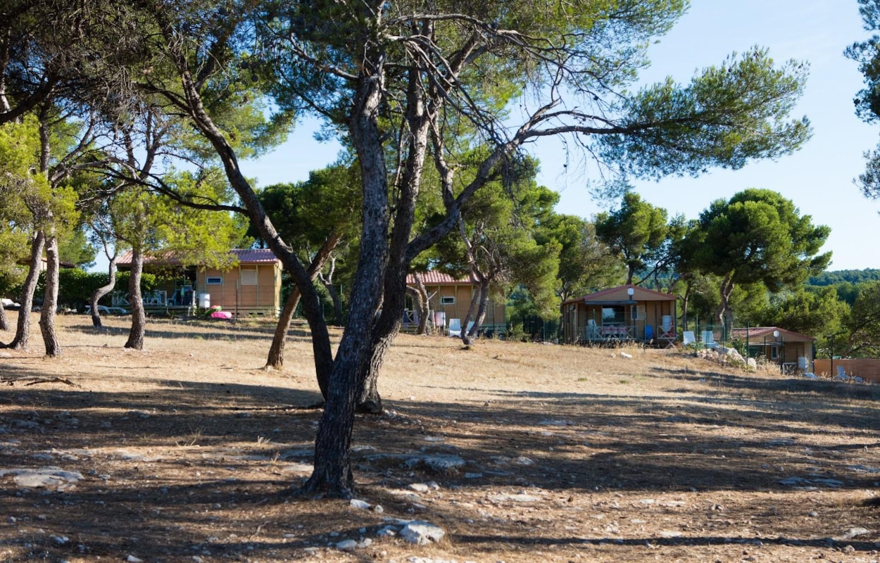 Le Pascalounet