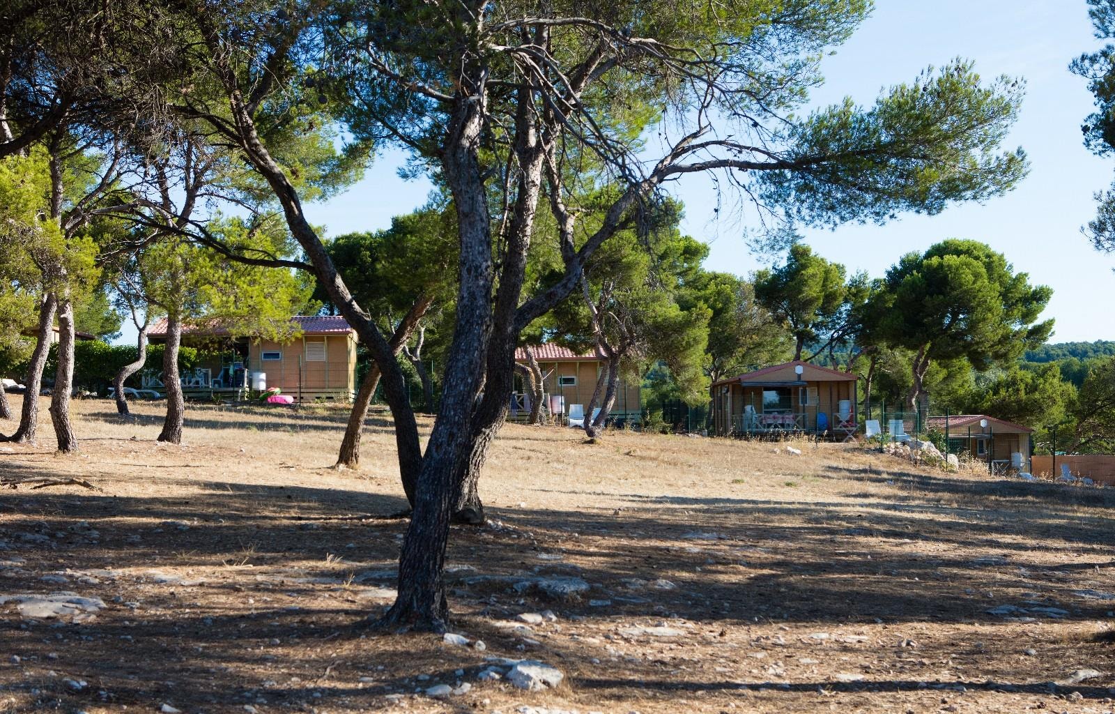 Le Pascalounet — Photo 6