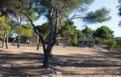 Le Pascalounet