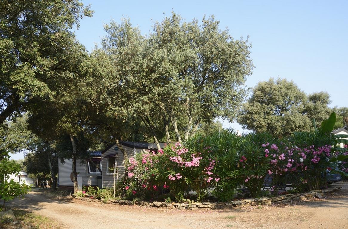 Camping Domaine de Gajan — Photo 8