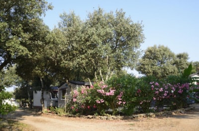 Camping Domaine de Gajan