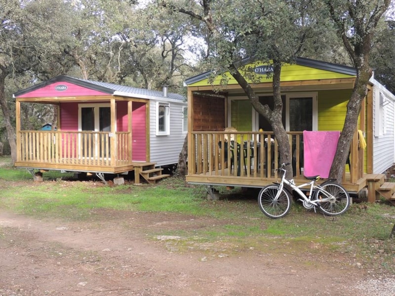 Mobil-home Confort + EVASION 30m² (2 chambres) - terrasse couverte comprise + TV + Climatisation