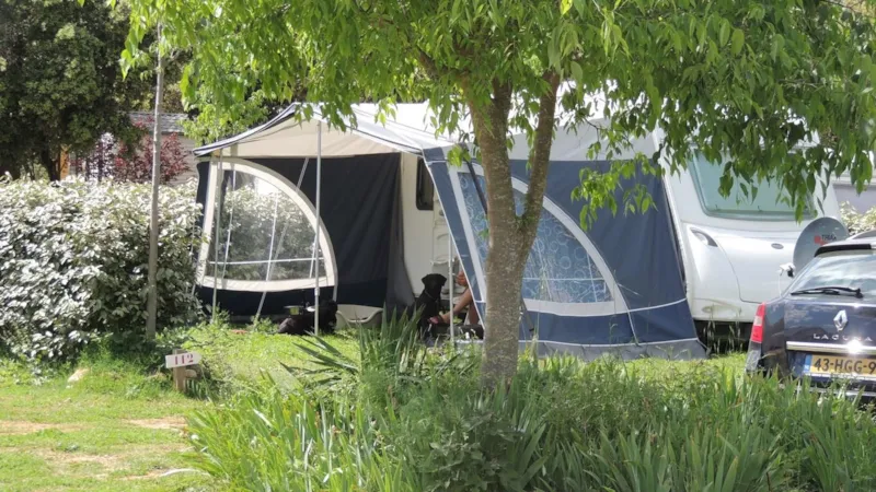 Forfait Confort (1 Tente Ou Caravane Ou Camping-Car / 1 Voiture / Électricité 16A)