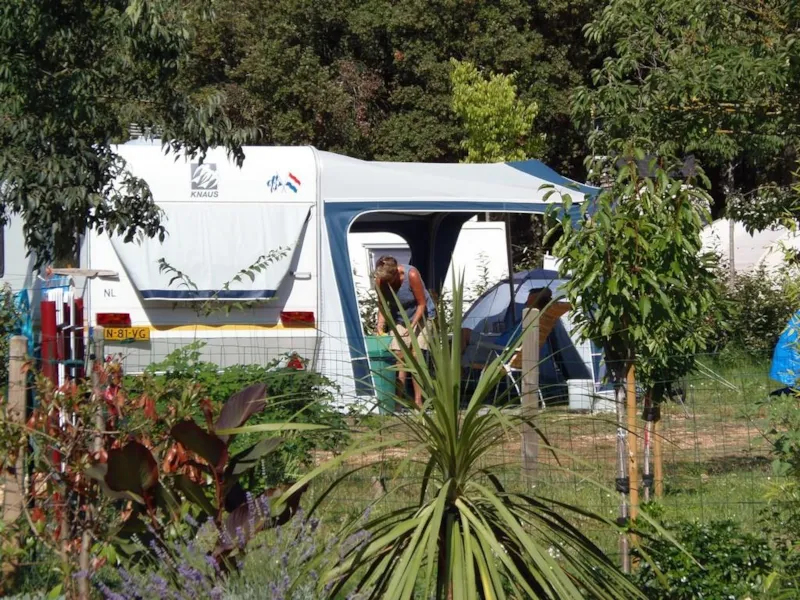 Forfait Confort (1 Tente Ou Caravane Ou Camping-Car / 1 Voiture / Électricité 16A)