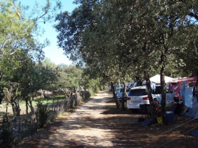 Nature Package without electricity (1 tent, caravan or motorhome / 1 car) — 2